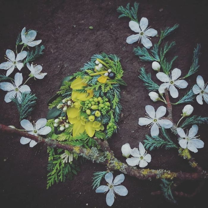 Plant-Flower-Birds-Hannah-Bullen-Ryner