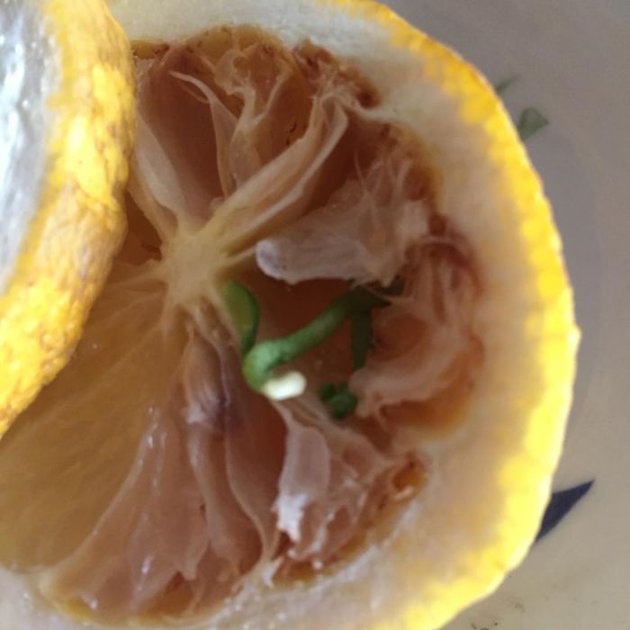 You Can Imagine My Surprise When I Cut Into