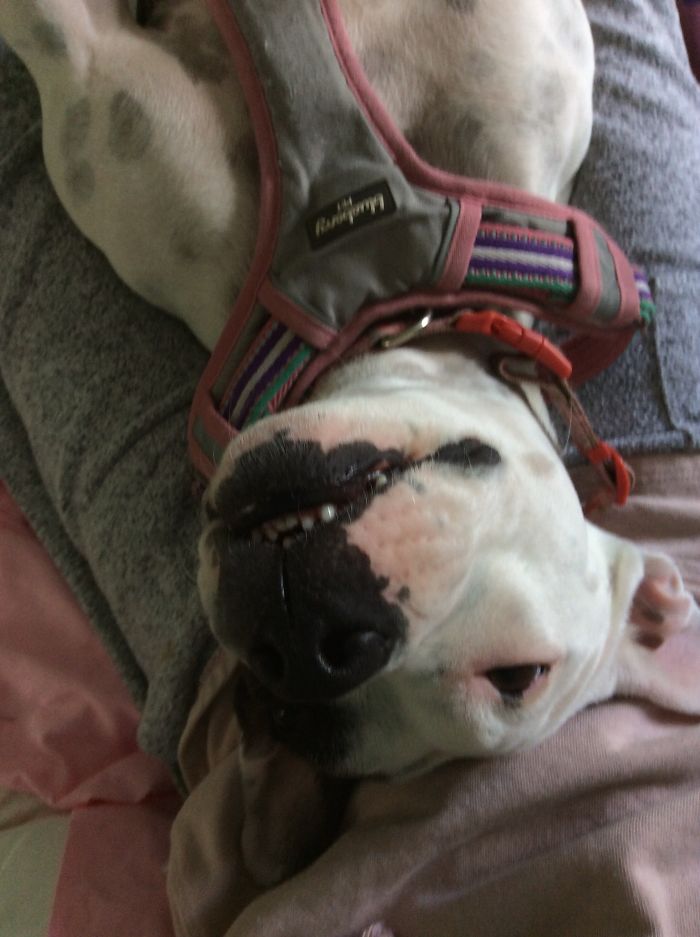 My Penelope (Aka Nut Because She Is So Nutty!)