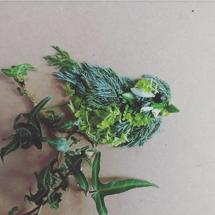 Plant-Flower-Birds-Hannah-Bullen-Ryner