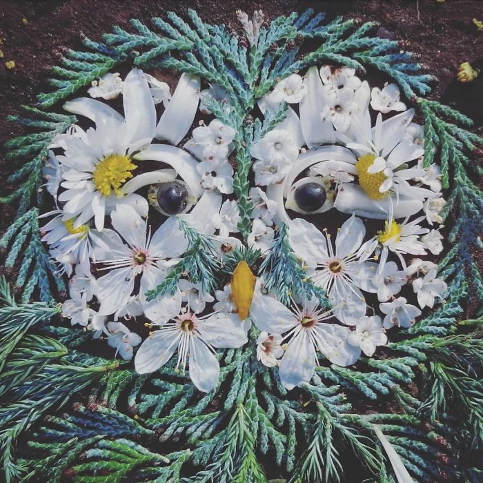 Plant-Flower-Birds-Hannah-Bullen-Ryner