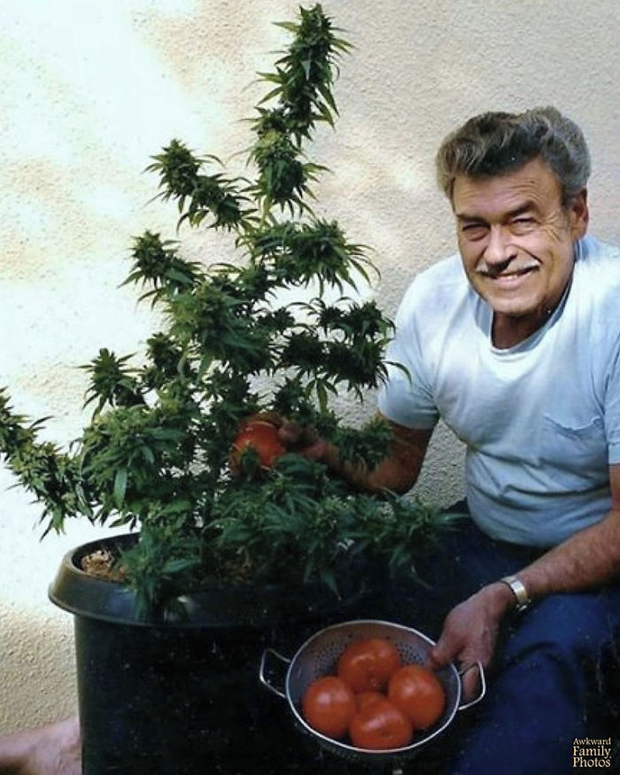 Awkward-Funny-Family-Photos