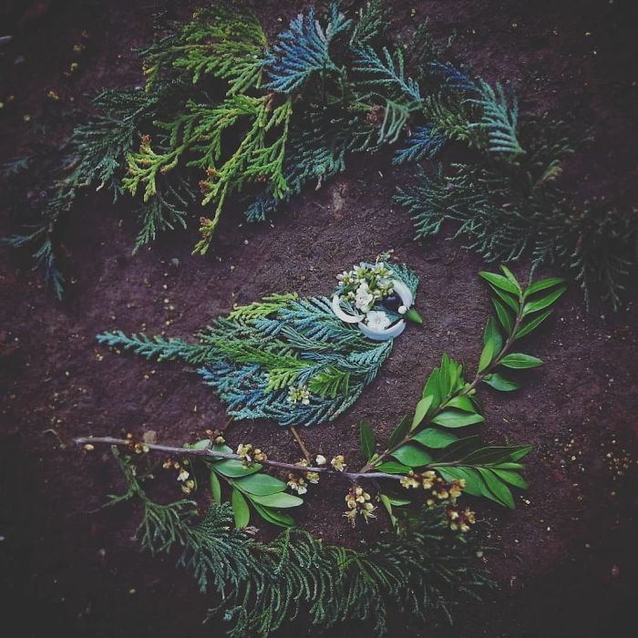 Plant-Flower-Birds-Hannah-Bullen-Ryner