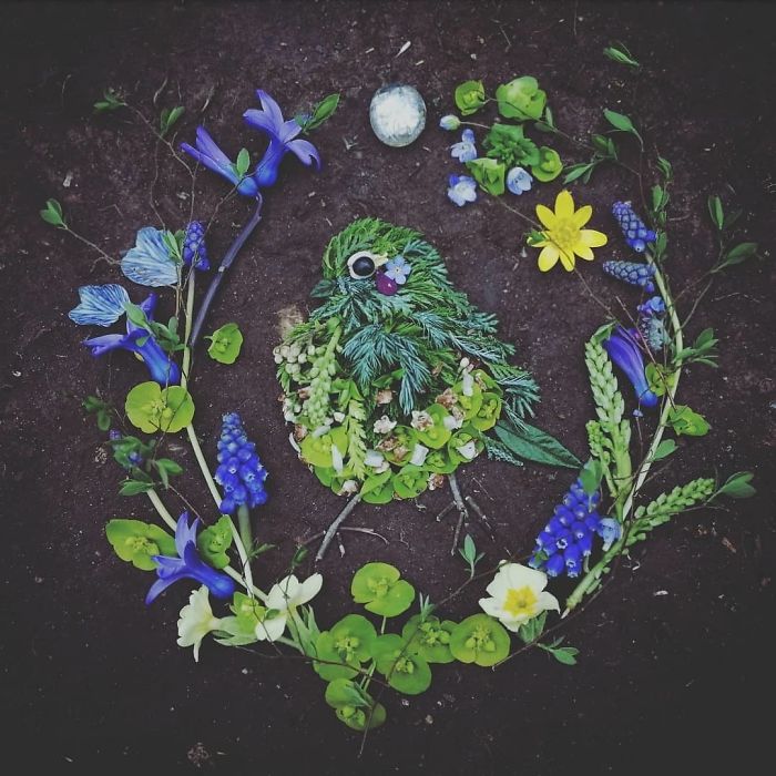 Plant-Flower-Birds-Hannah-Bullen-Ryner