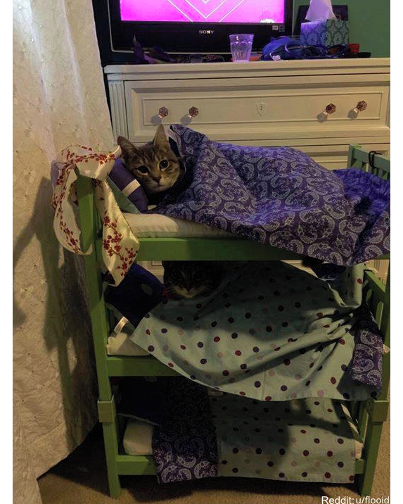 Awkward-Funny-Family-Photos