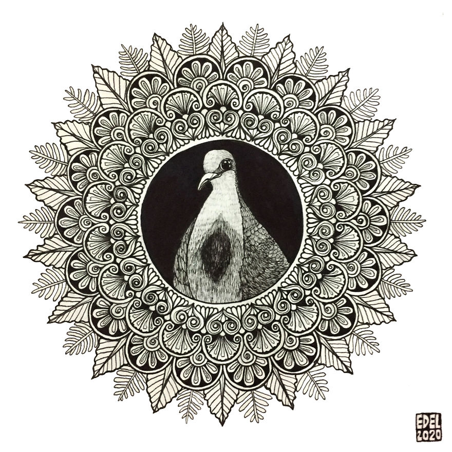 I Used Mandala Art To Help Promote Philippine Endemic Birds