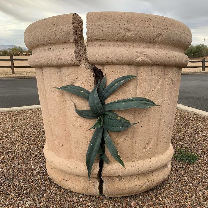 Mother Nature Always Wins