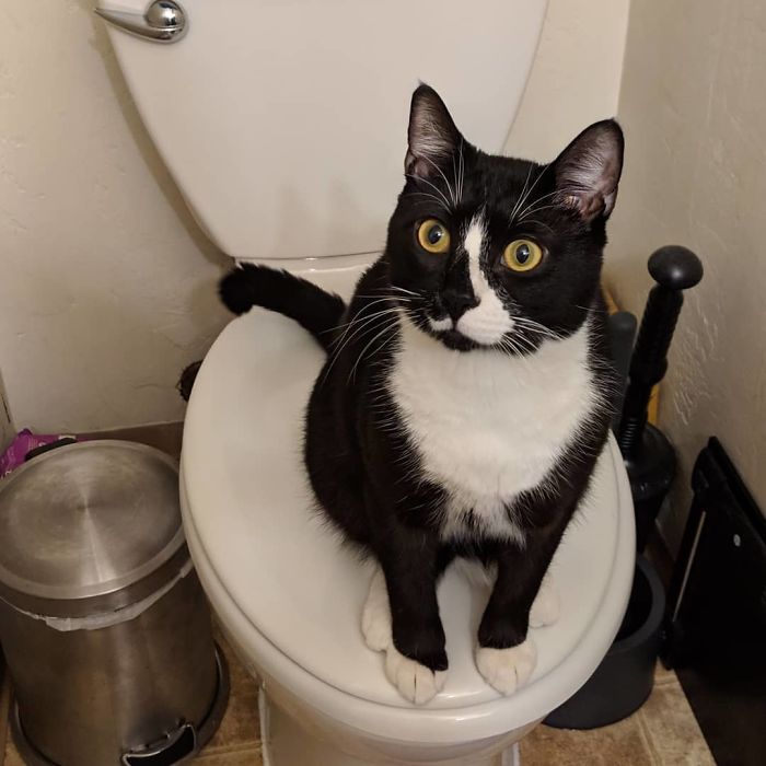 Alone Time? Not Allowed Here