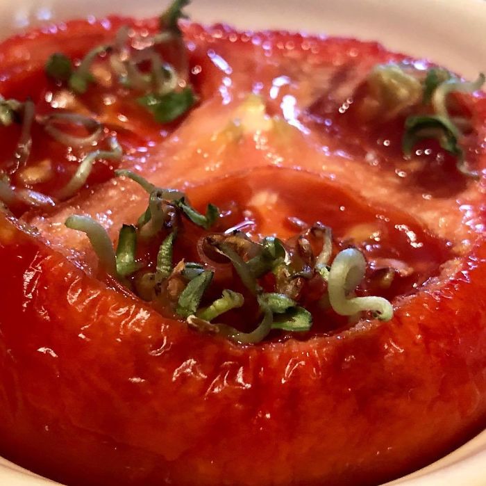 I’ll Pass On Eating This Prego Tomato