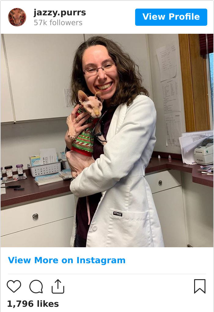 Jazzypurrs-Jasper-Cat-Sphinx-Eyeless