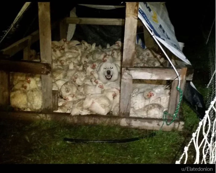 Awkward-Funny-Family-Photos