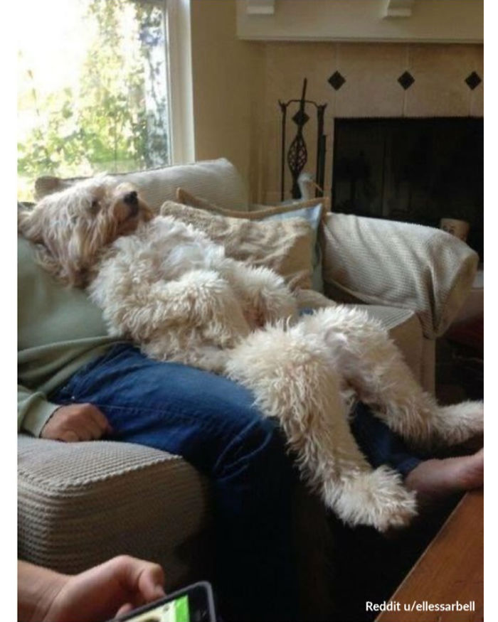 Awkward-Funny-Family-Photos