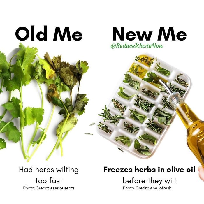 Old-Me-vs.-New-Me-Reduce-Waste-Now