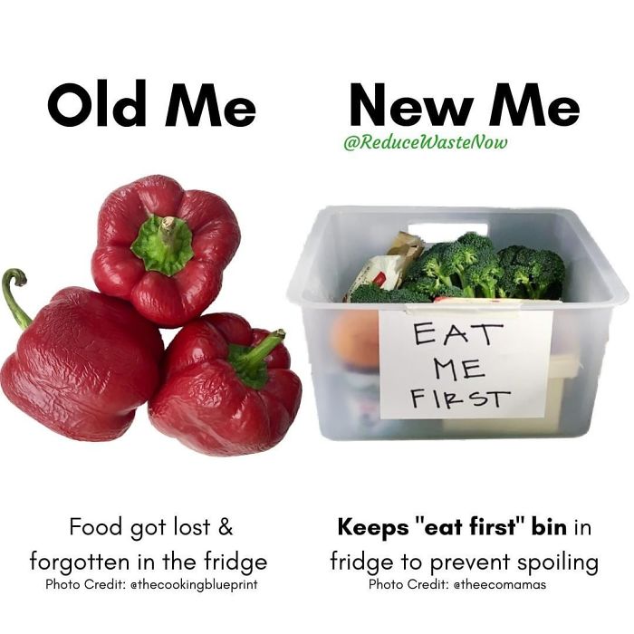 Old-Me-vs.-New-Me-Reduce-Waste-Now