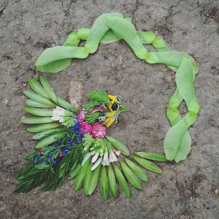 Plant-Flower-Birds-Hannah-Bullen-Ryner