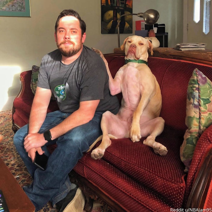 Awkward-Funny-Family-Photos