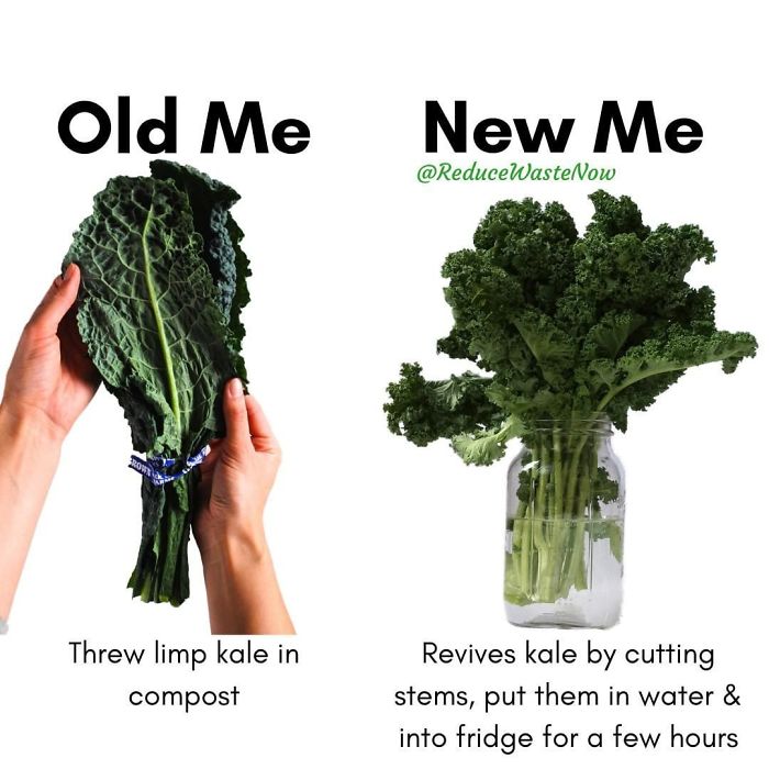 Old-Me-vs.-New-Me-Reduce-Waste-Now