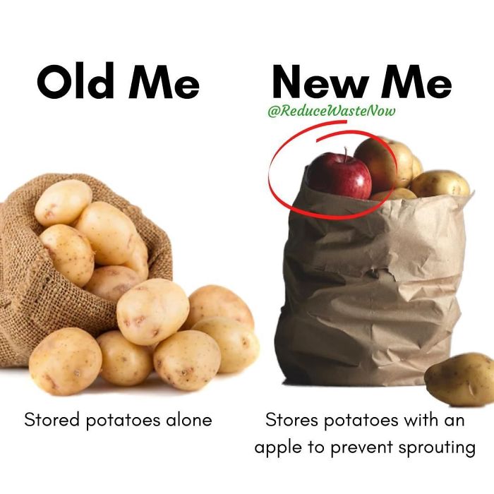 Old-Me-vs.-New-Me-Reduce-Waste-Now