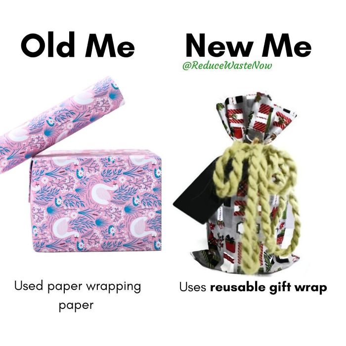 Old-Me-vs.-New-Me-Reduce-Waste-Now