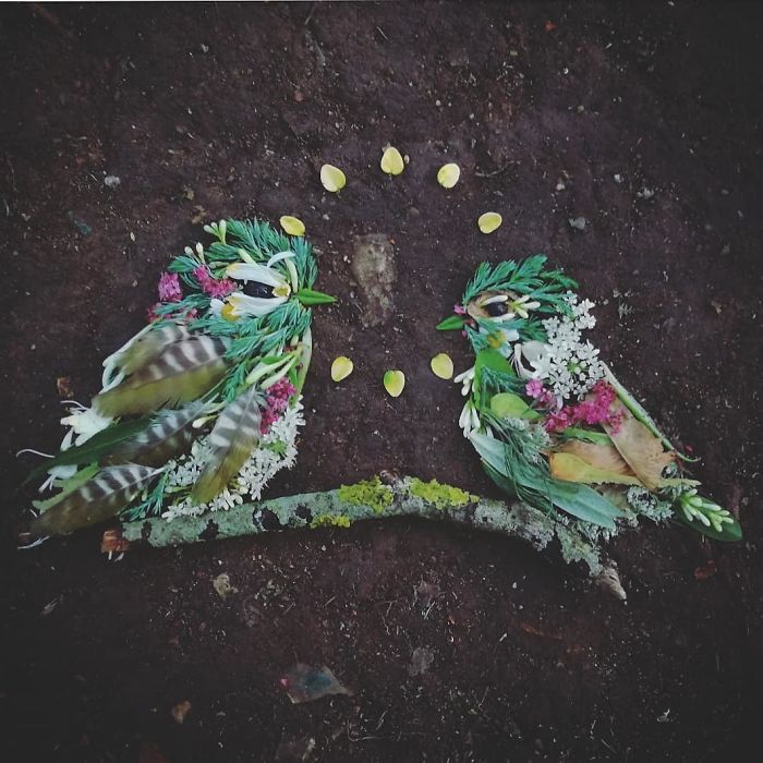 Plant-Flower-Birds-Hannah-Bullen-Ryner