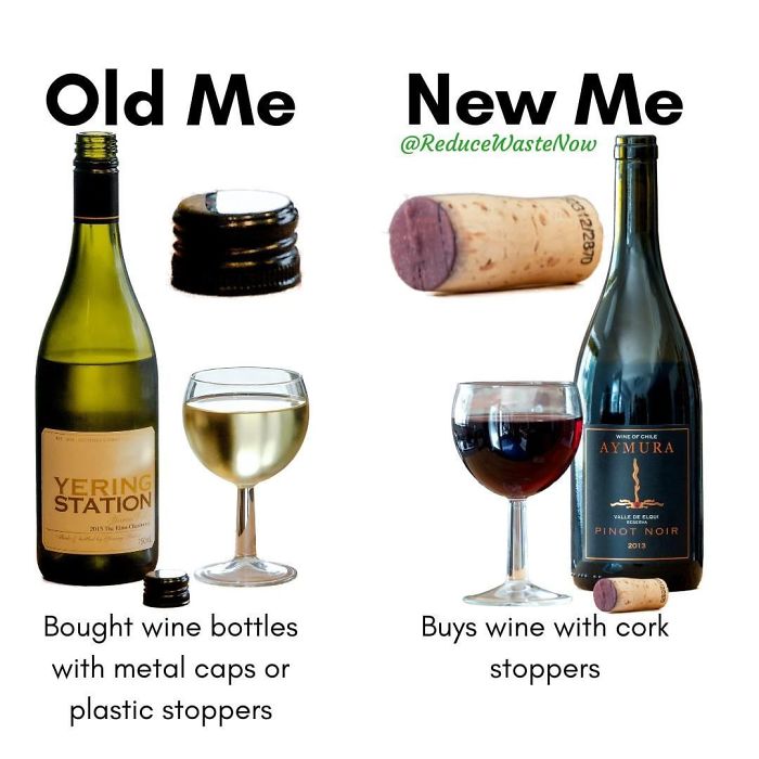 Old-Me-vs.-New-Me-Reduce-Waste-Now