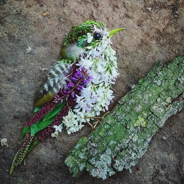 Plant-Flower-Birds-Hannah-Bullen-Ryner
