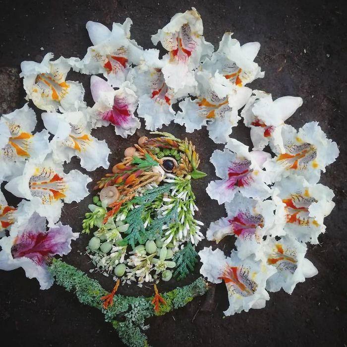 Plant-Flower-Birds-Hannah-Bullen-Ryner