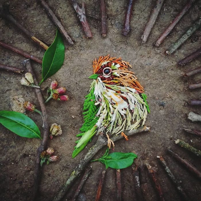 Plant-Flower-Birds-Hannah-Bullen-Ryner