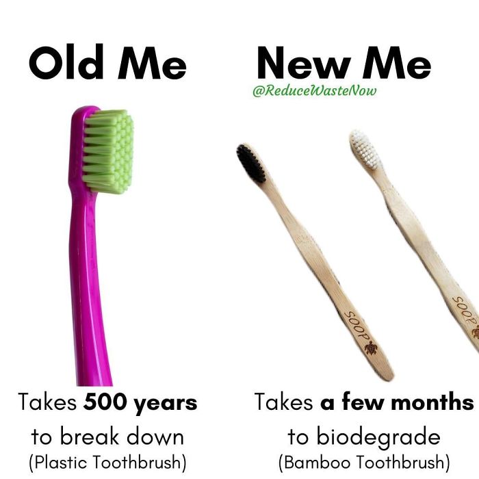 Old-Me-vs.-New-Me-Reduce-Waste-Now