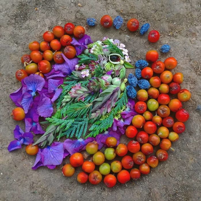 Plant-Flower-Birds-Hannah-Bullen-Ryner