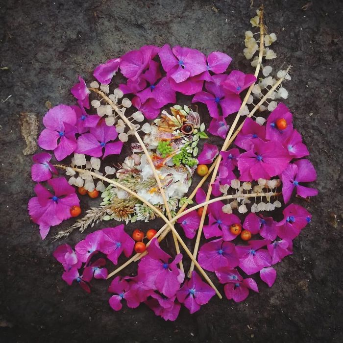 Plant-Flower-Birds-Hannah-Bullen-Ryner