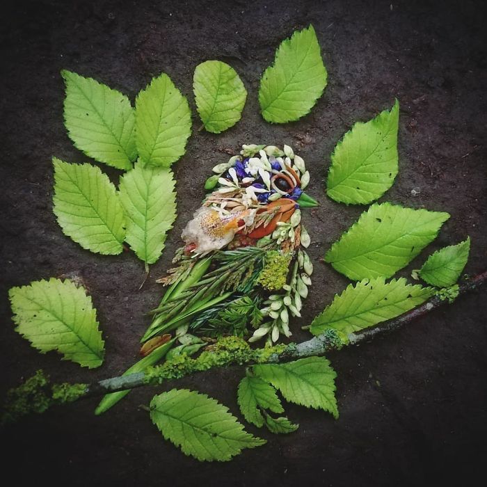 Plant-Flower-Birds-Hannah-Bullen-Ryner