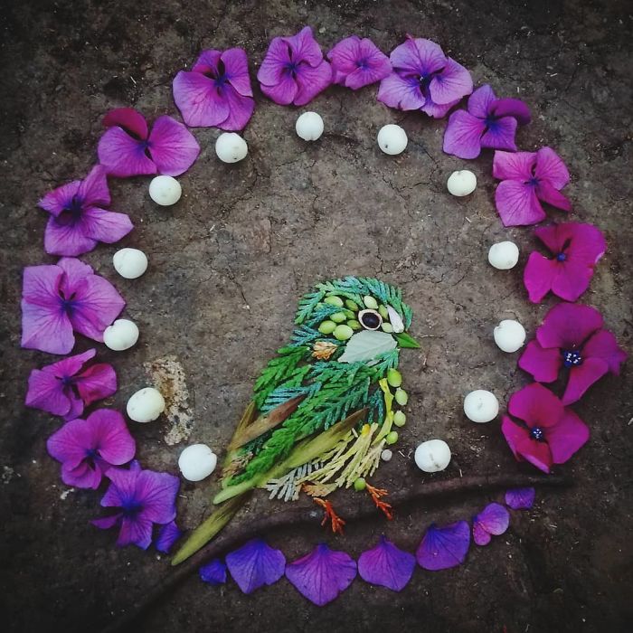 Plant-Flower-Birds-Hannah-Bullen-Ryner