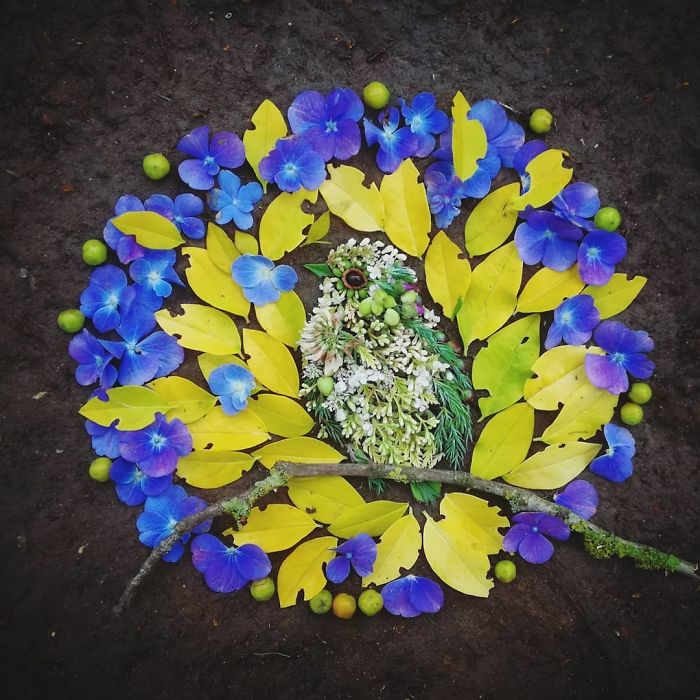 Plant-Flower-Birds-Hannah-Bullen-Ryner