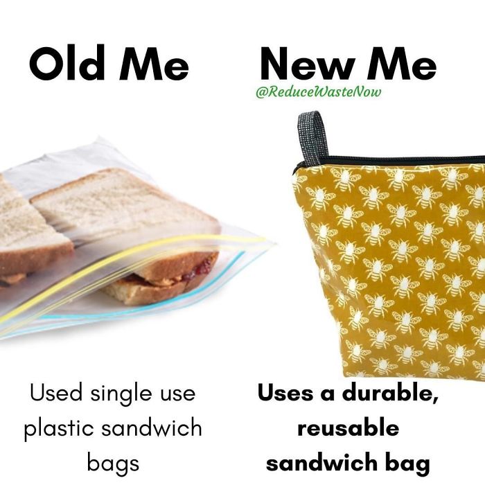Old-Me-vs.-New-Me-Reduce-Waste-Now