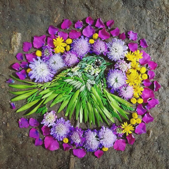 Plant-Flower-Birds-Hannah-Bullen-Ryner