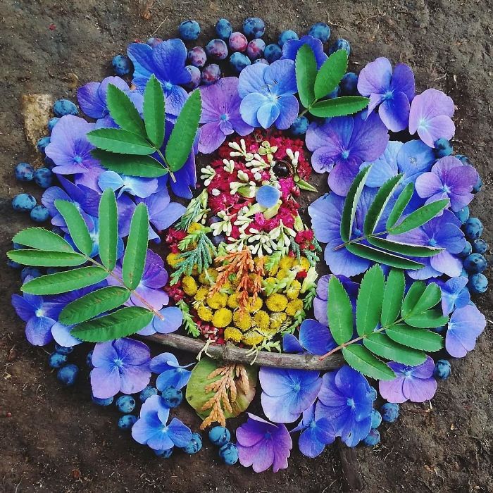 Plant-Flower-Birds-Hannah-Bullen-Ryner