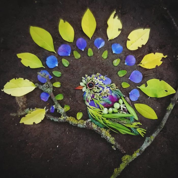 Plant-Flower-Birds-Hannah-Bullen-Ryner