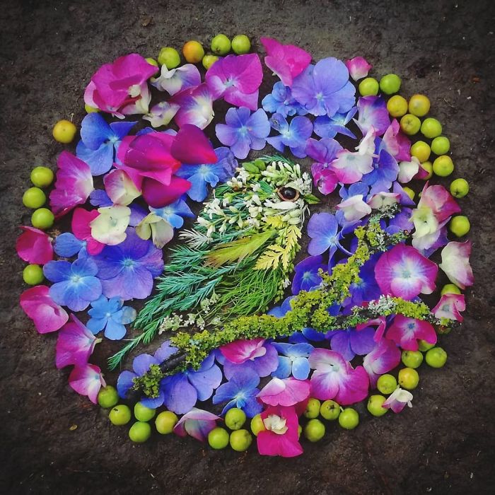 Plant-Flower-Birds-Hannah-Bullen-Ryner