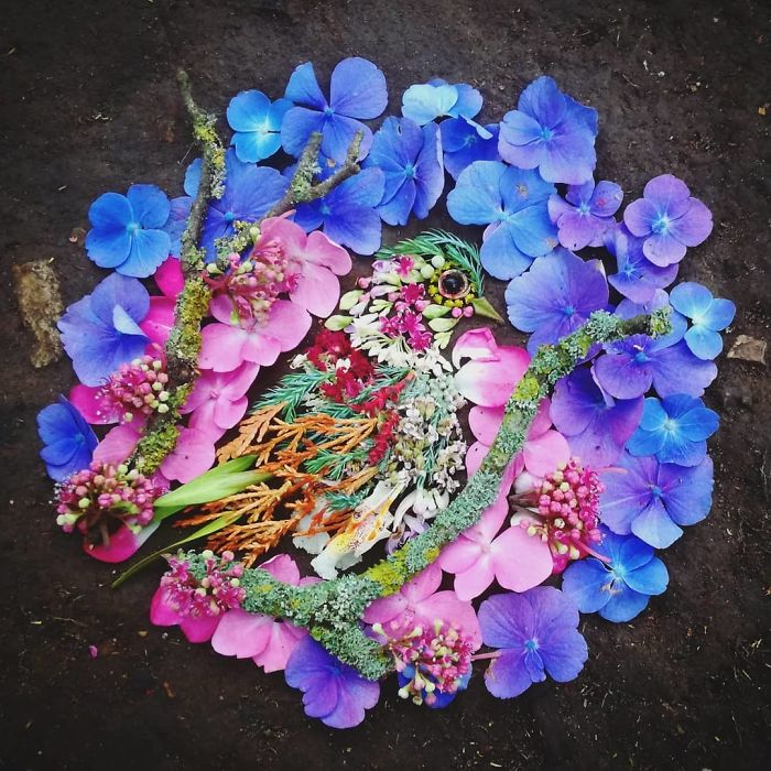 Plant-Flower-Birds-Hannah-Bullen-Ryner