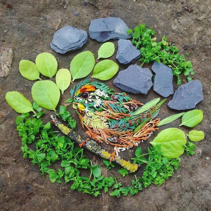 Plant-Flower-Birds-Hannah-Bullen-Ryner