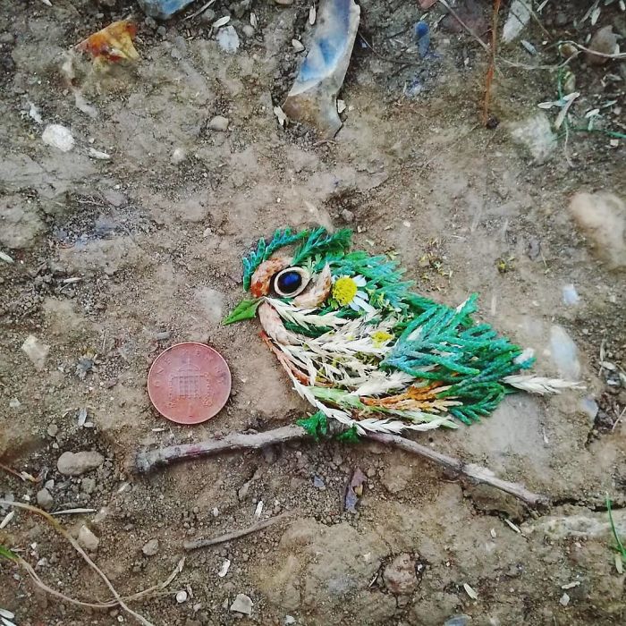 Plant-Flower-Birds-Hannah-Bullen-Ryner