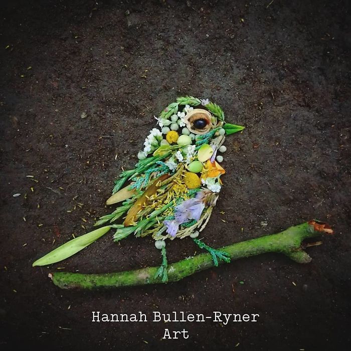 Plant-Flower-Birds-Hannah-Bullen-Ryner