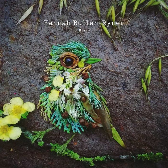 Plant-Flower-Birds-Hannah-Bullen-Ryner