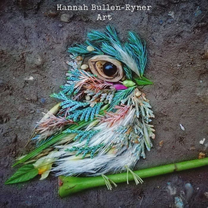 Plant-Flower-Birds-Hannah-Bullen-Ryner