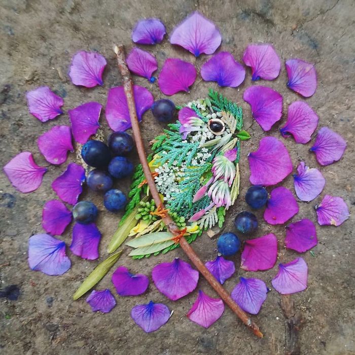 Plant-Flower-Birds-Hannah-Bullen-Ryner