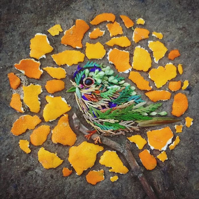 Plant-Flower-Birds-Hannah-Bullen-Ryner