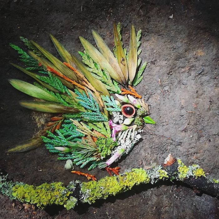 Plant-Flower-Birds-Hannah-Bullen-Ryner