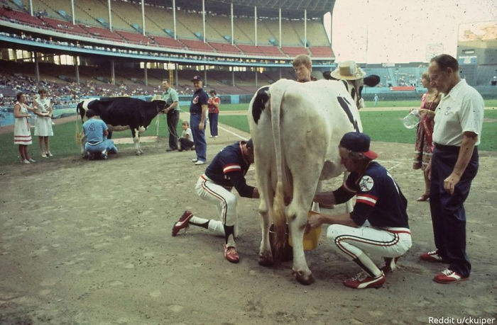 Awkward-Funny-Family-Photos