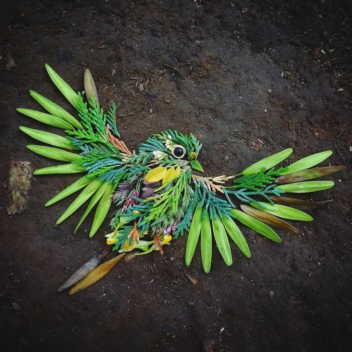 Plant-Flower-Birds-Hannah-Bullen-Ryner